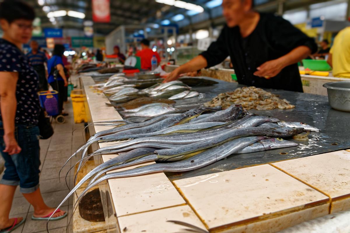 El congrio contiene 880 UI de vitamina d