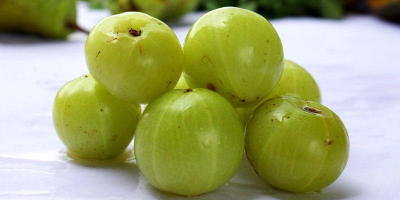 Amla, propiedades y beneficios y como se debe usar