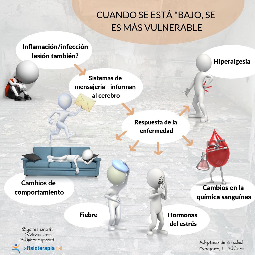 modelo de orgamismo vulnerable