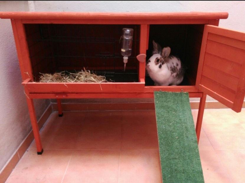 Casita para conejos