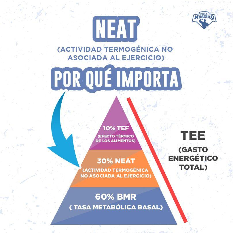 Por que importa el NEAT