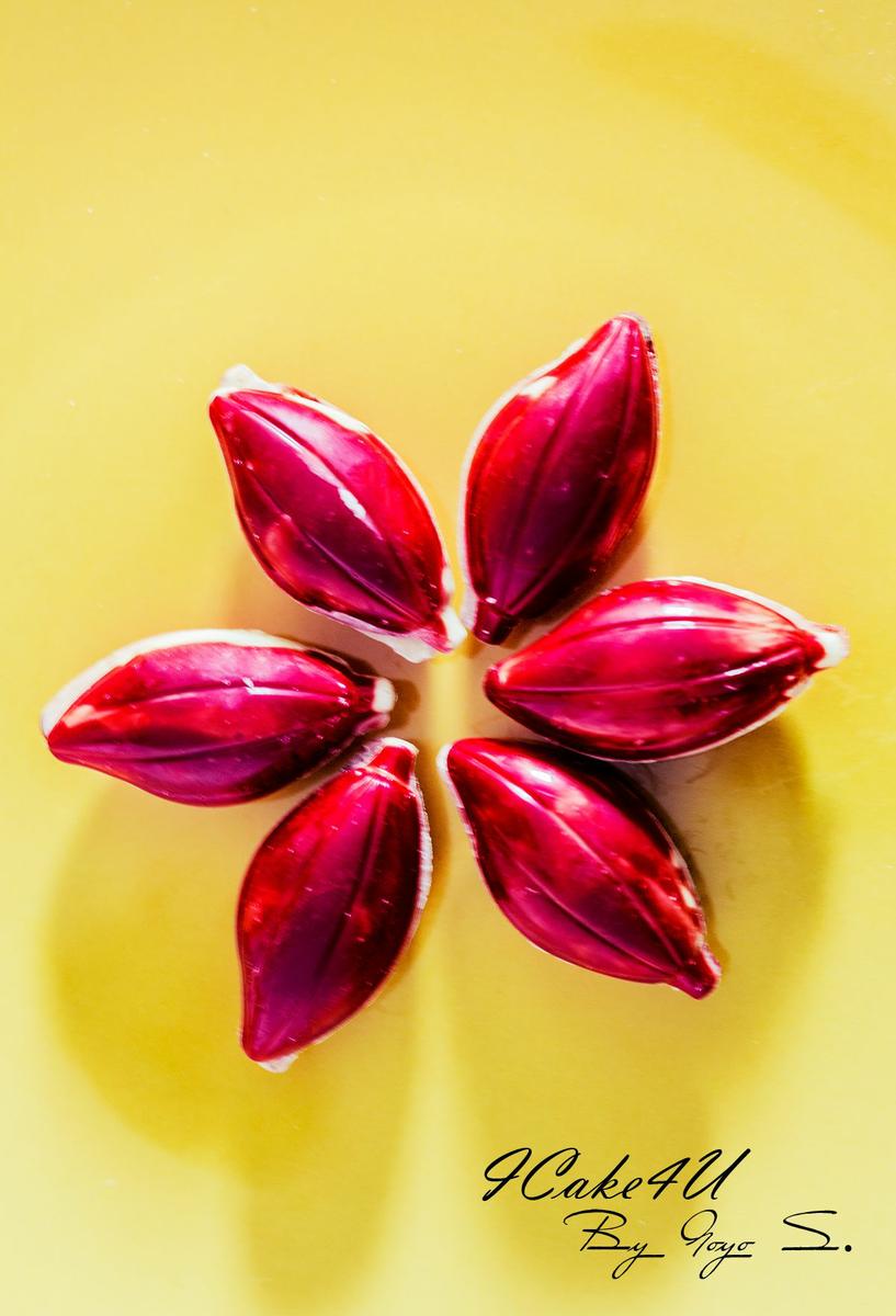 Bombones de frambuesa