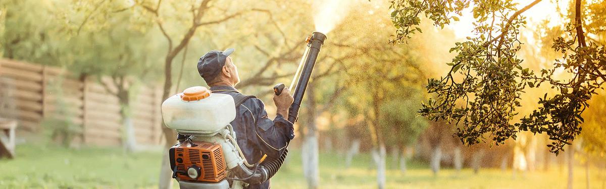 como eliminar los mosquitos tratamiento