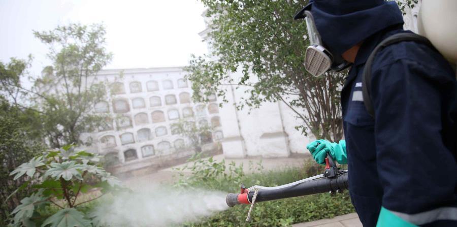 como eliminar los mosquitos larvicida