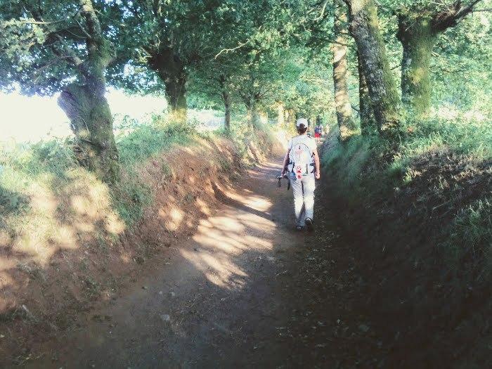 camino-3