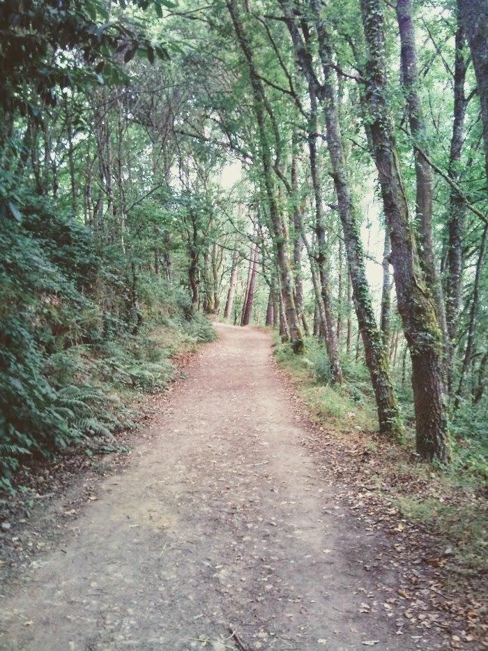 bosque