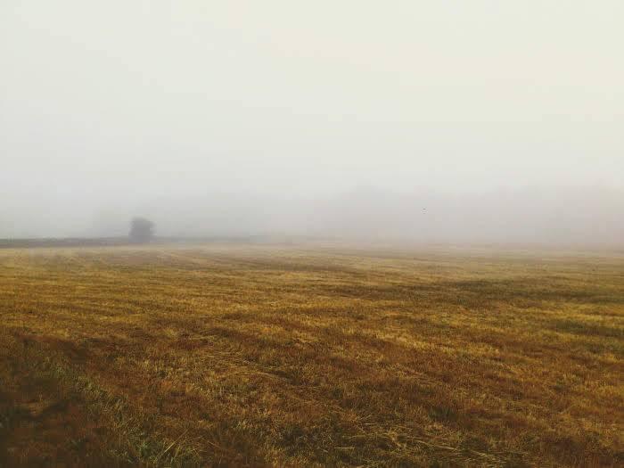 campo-2