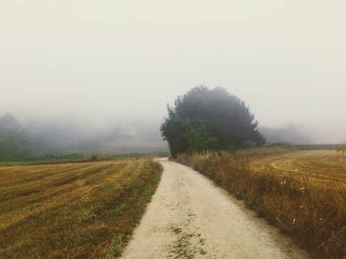 camino