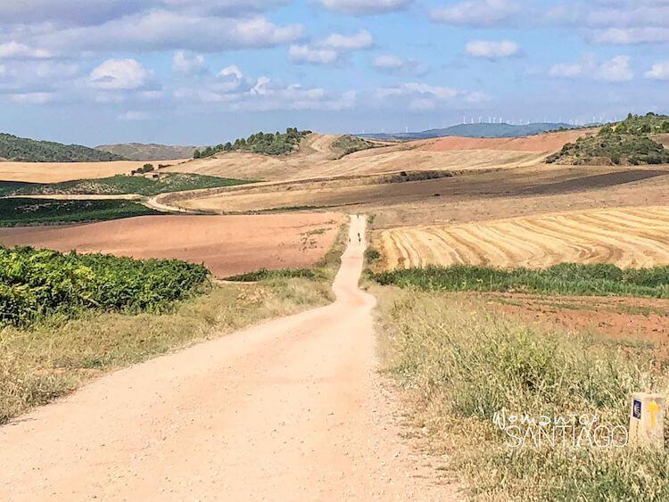 paisaje del Camino