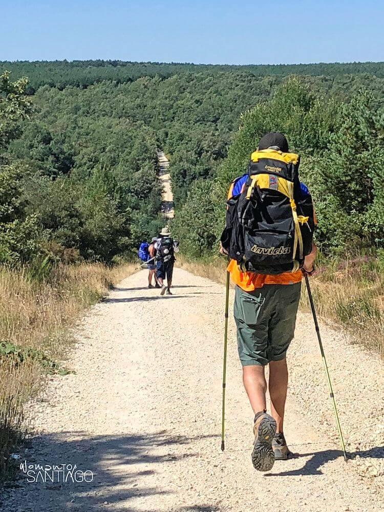 peregrinos caminando