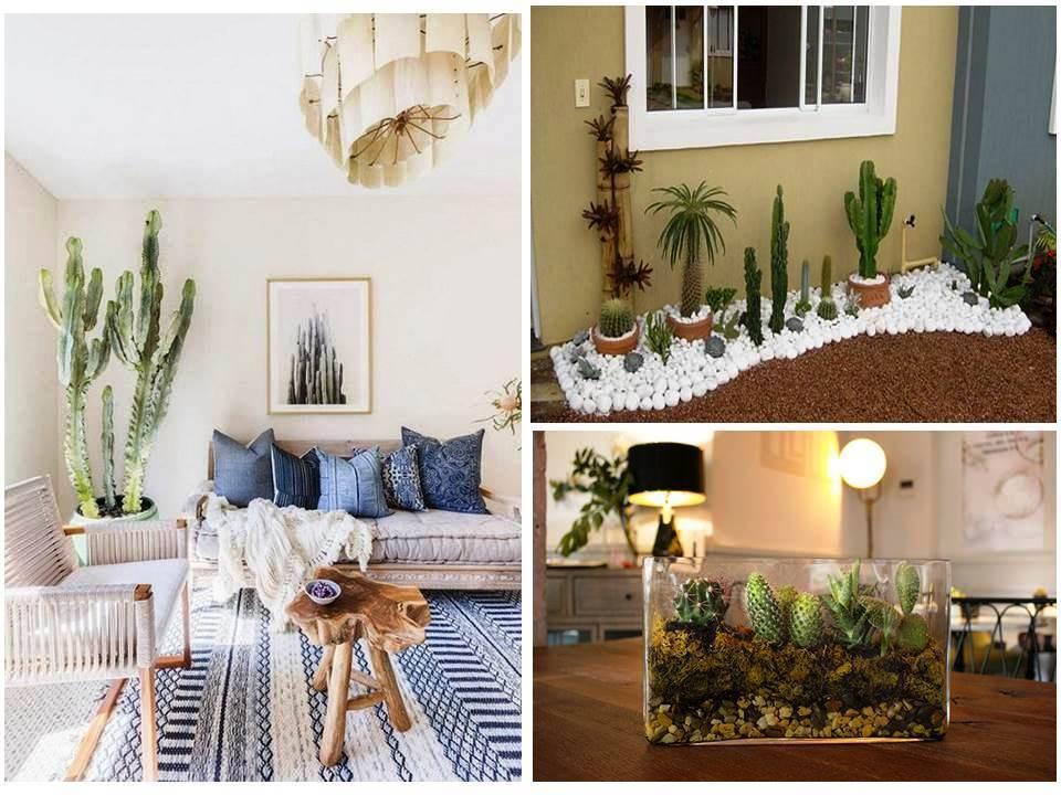 Ideas con cactus para decorar el hogar