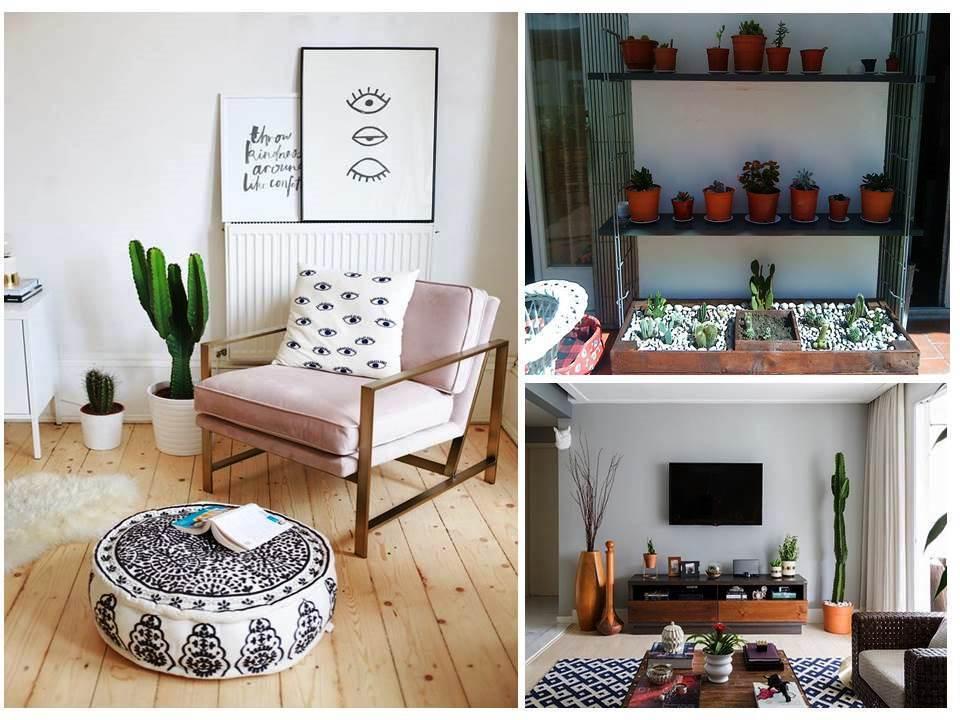 Ideas con cactus para decorar el hogar