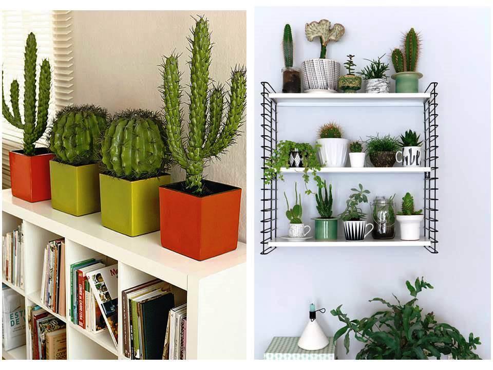 Ideas con cactus para decorar el hogar