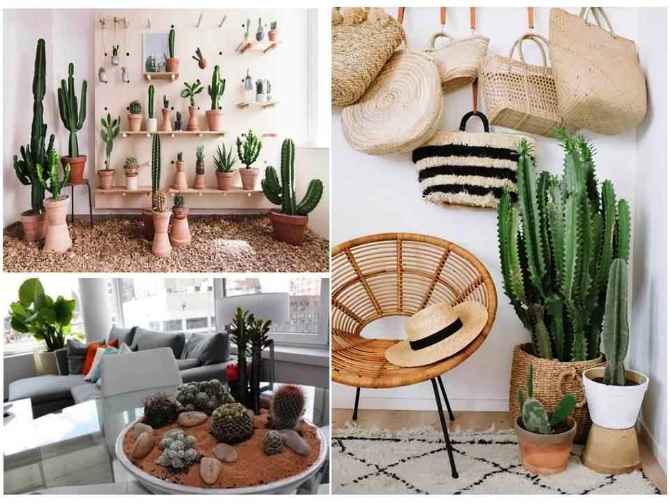 Ideas con cactus para decorar el hogar