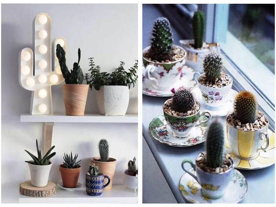 Ideas con cactus para decorar el hogar