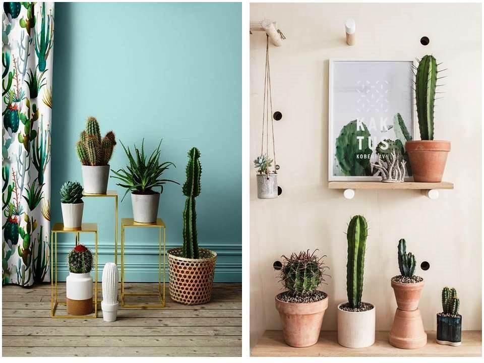 Ideas con cactus para decorar el hogar