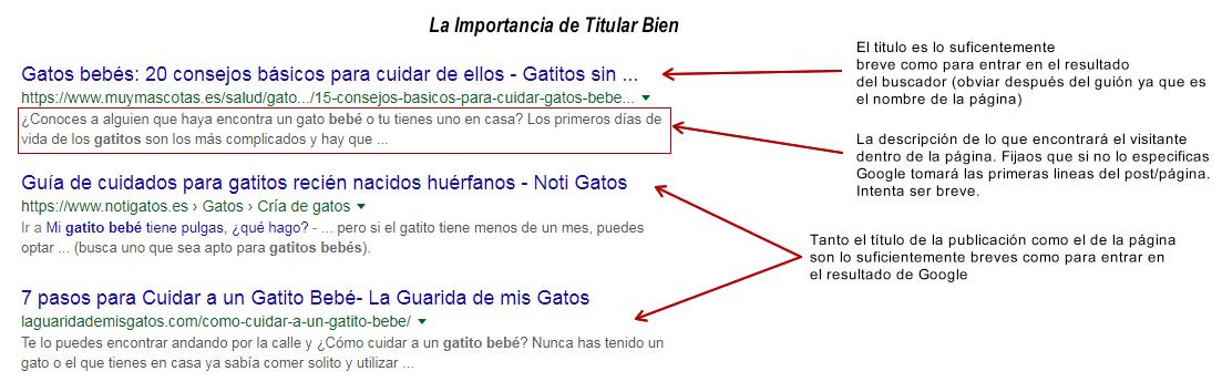 Posicionar página web de mi empresa