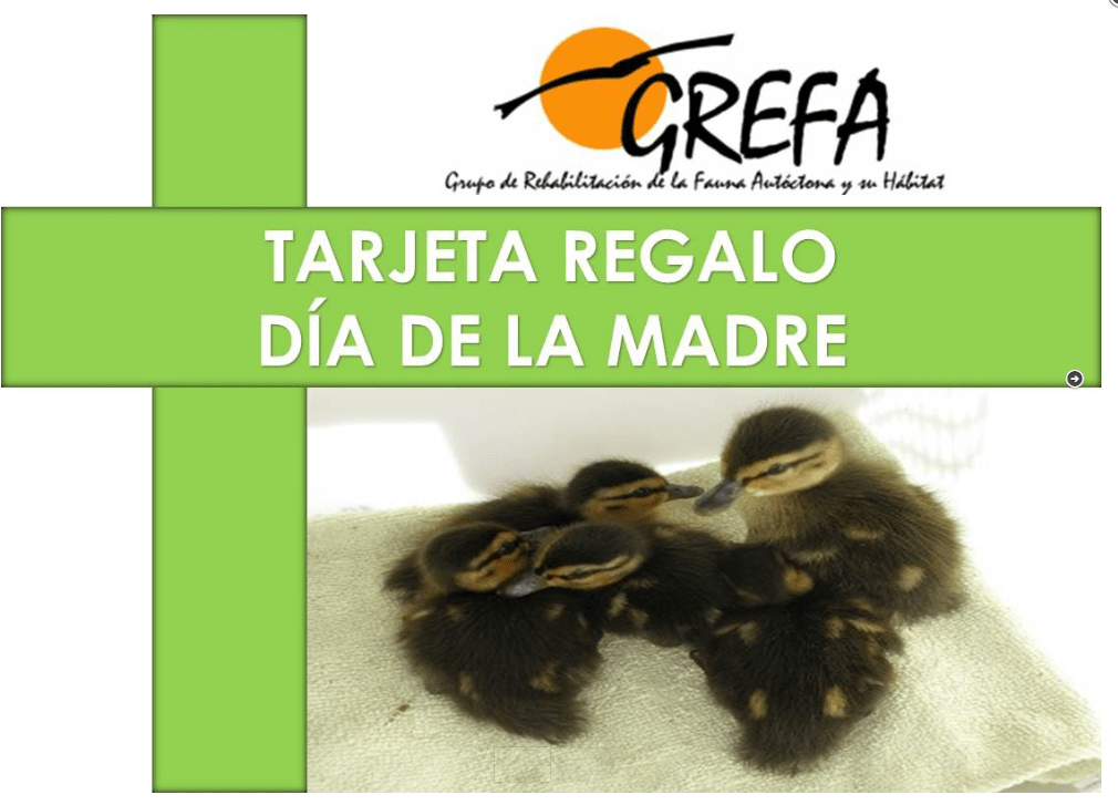 tarjeta regalo GREFA