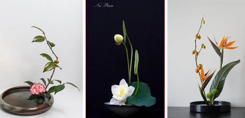 Ikebana en recipientes bajos