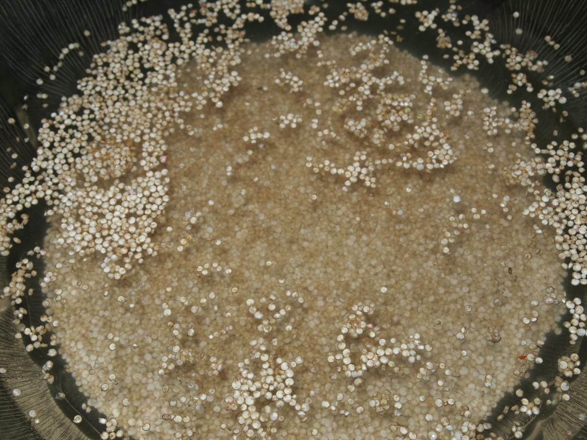Croquetas de espinaca y quinoa