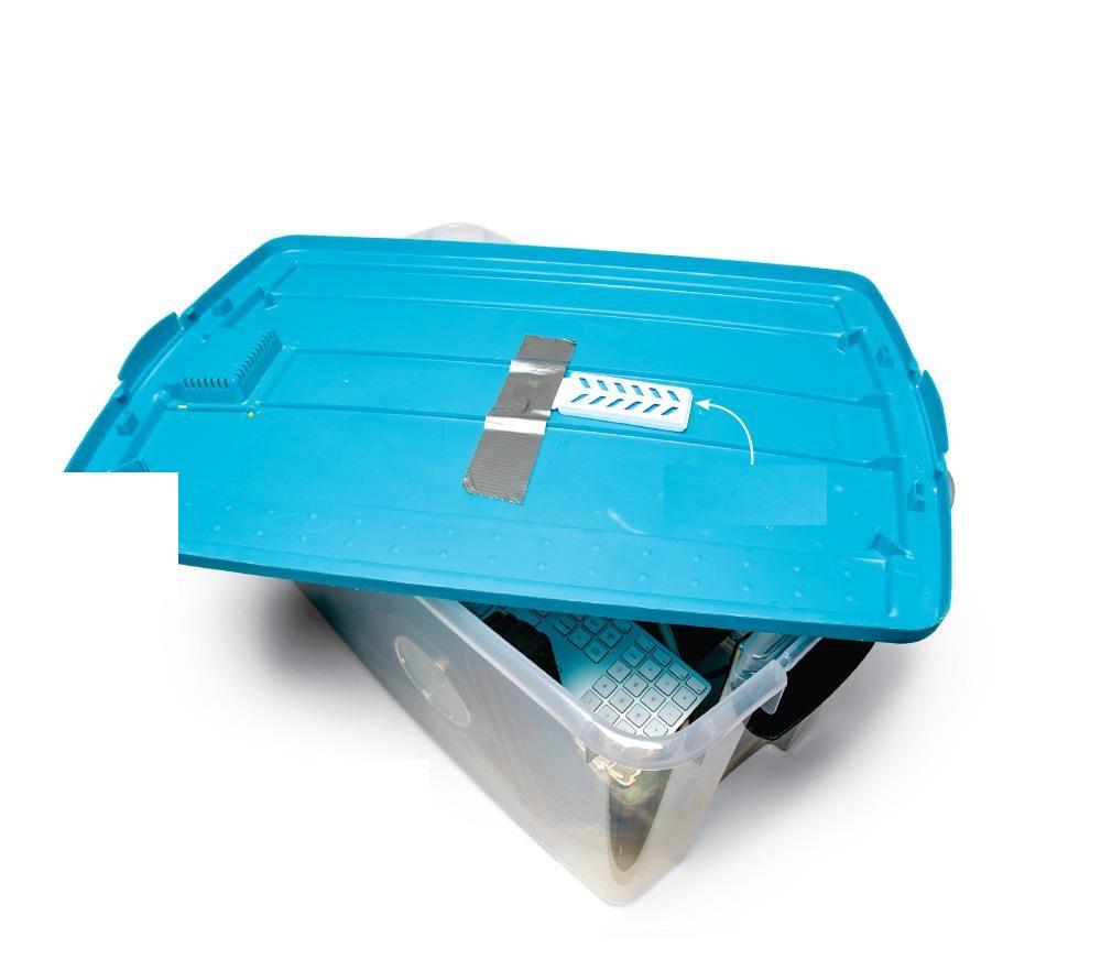 como eliminar las chinches