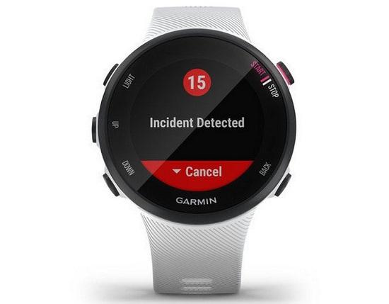 Garmin Forerunner 45S