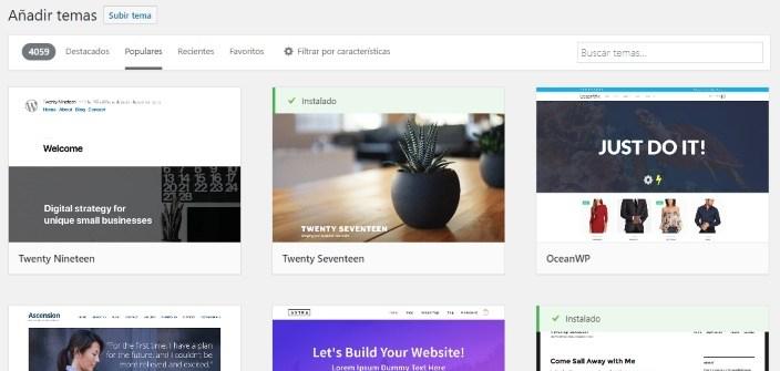 theme wordpress