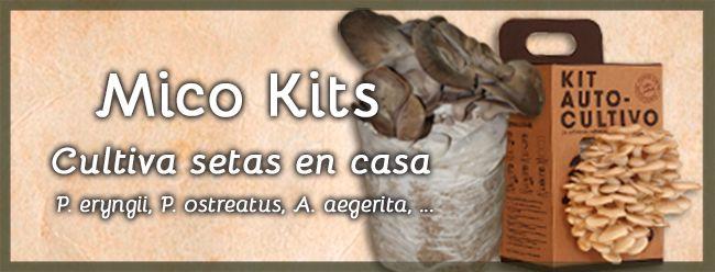 PUBLICIDAD 650
