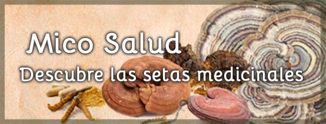 PUBLICIDAD 650