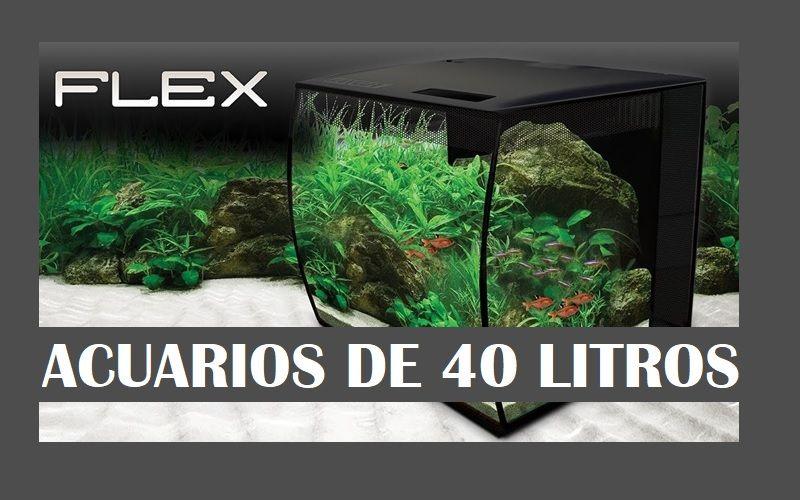 Acuario de 40 Litros