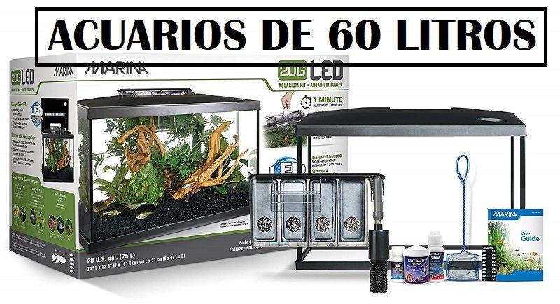 Acuario de 60 Litros