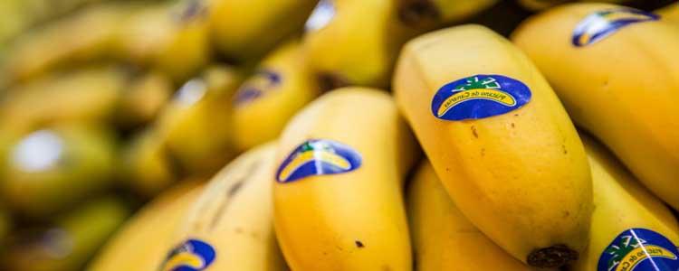 Diferencias entre plátano de canarias y bananas