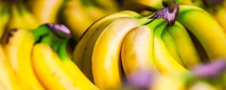 Diferencias entre plátano y banana