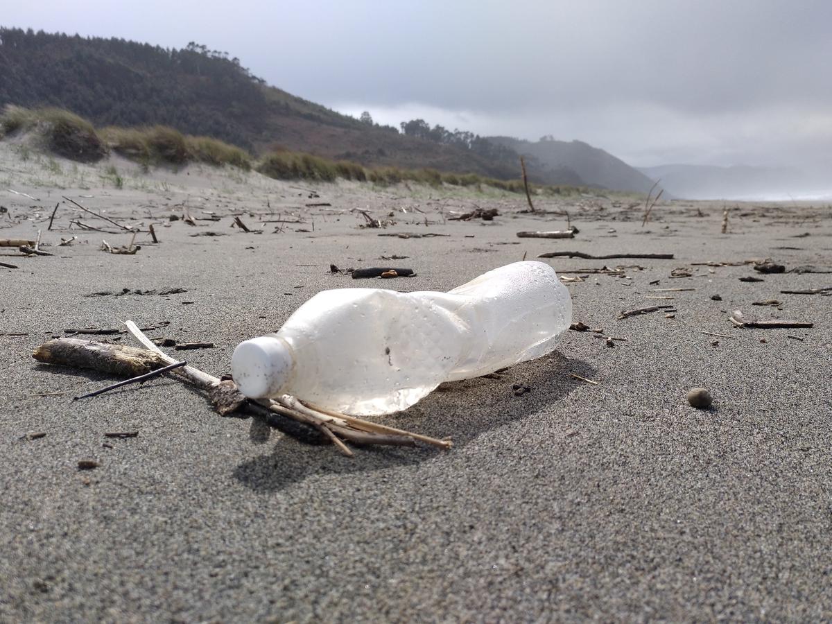 El problema de los plásticos. Botella de plástico abandonada en una playa.