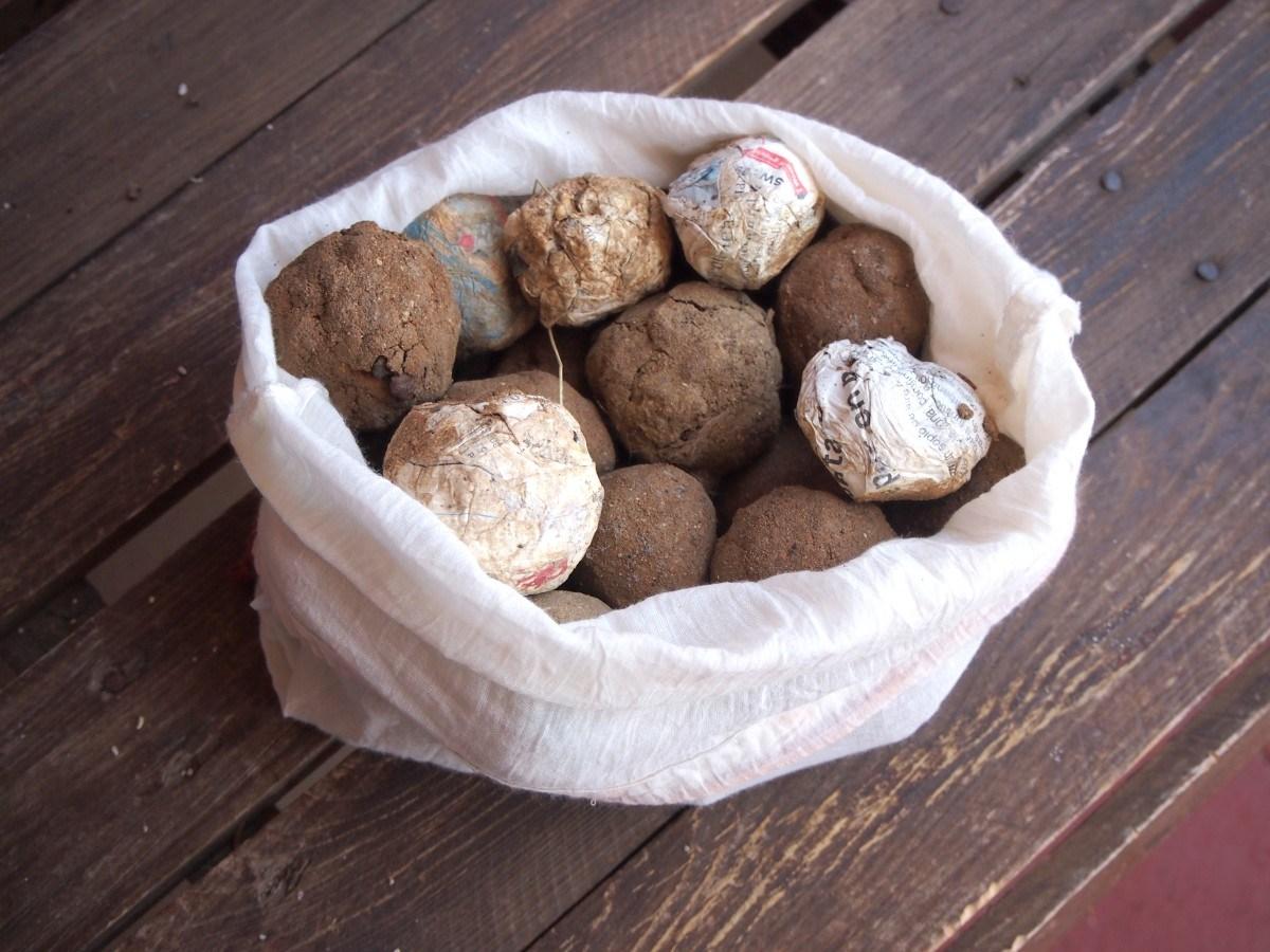 Bombas de semillas metidas en una bolsa ya secas y listas para ser tiradas