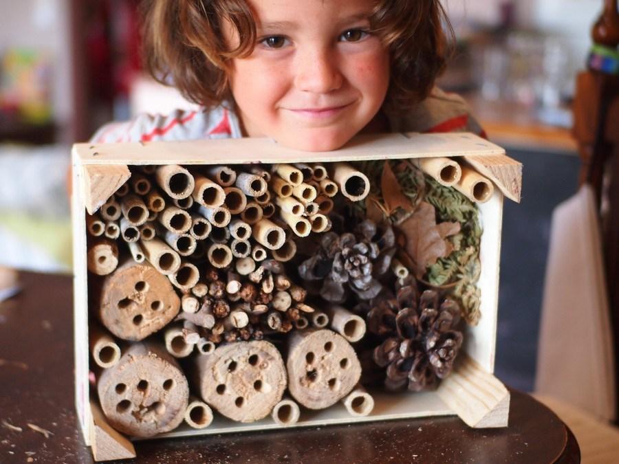 Niño orgulloso mostrando su hotel de insectos recien hecho