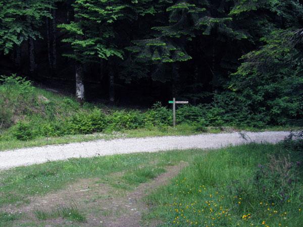 De nuevo, perfectamente señalizado