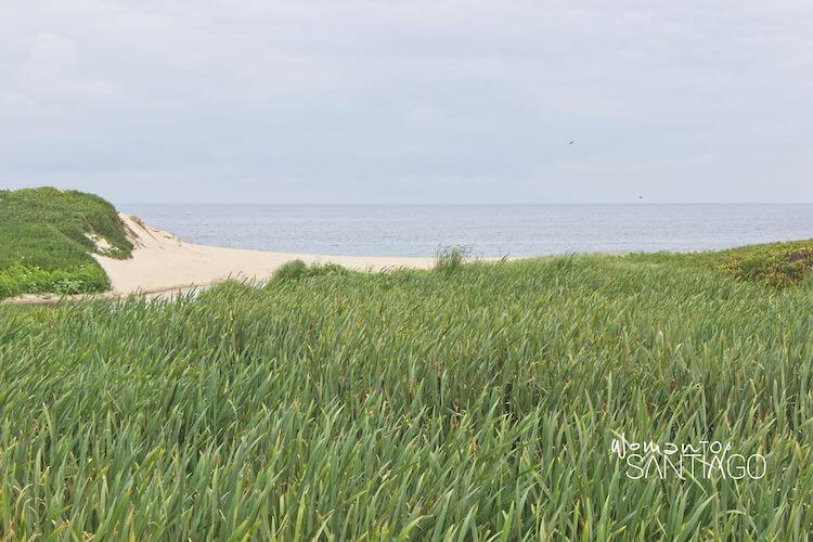 Dunas de arena en la costa del Camino