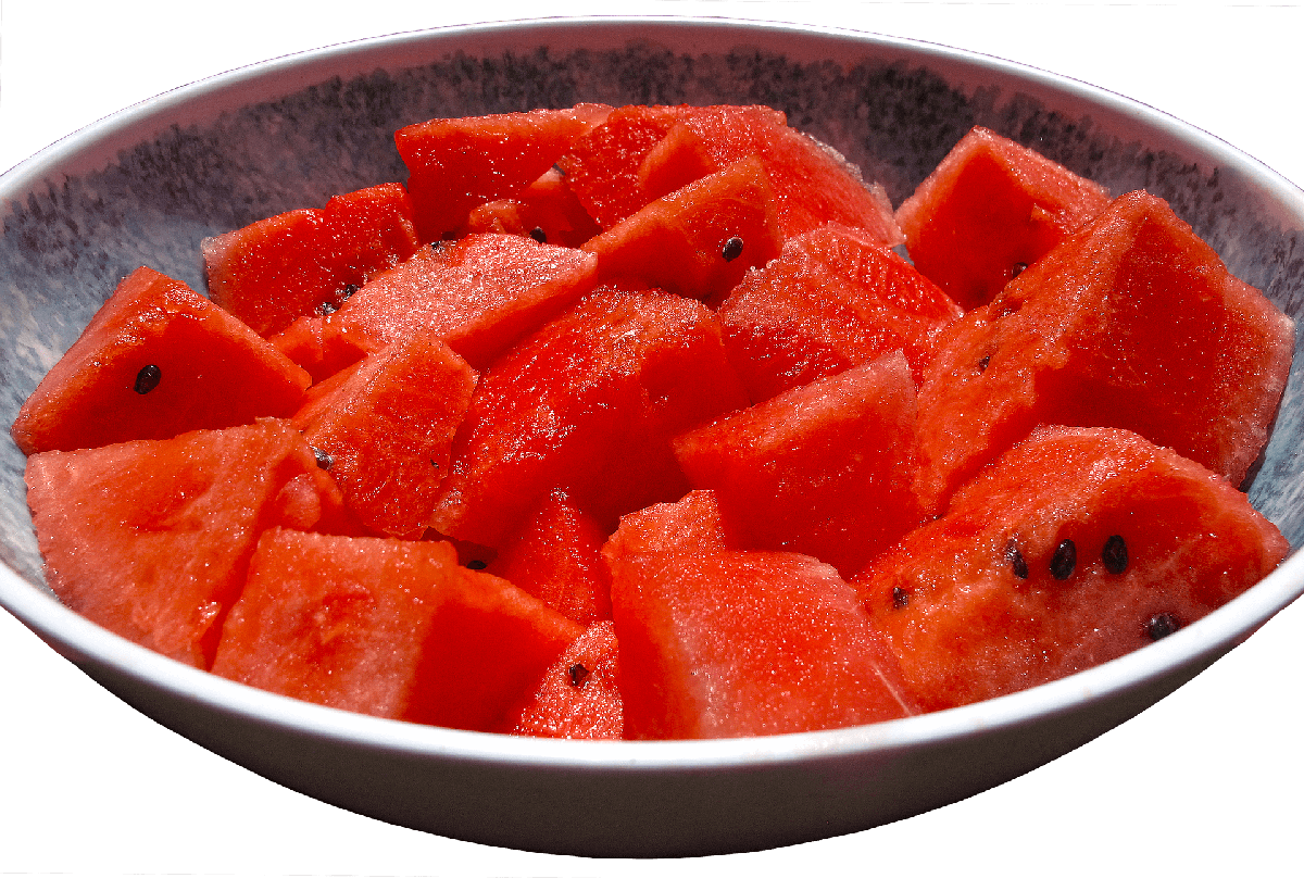 RECETA SENCILLA DE HELADO PARA PERROS DE SANDIA