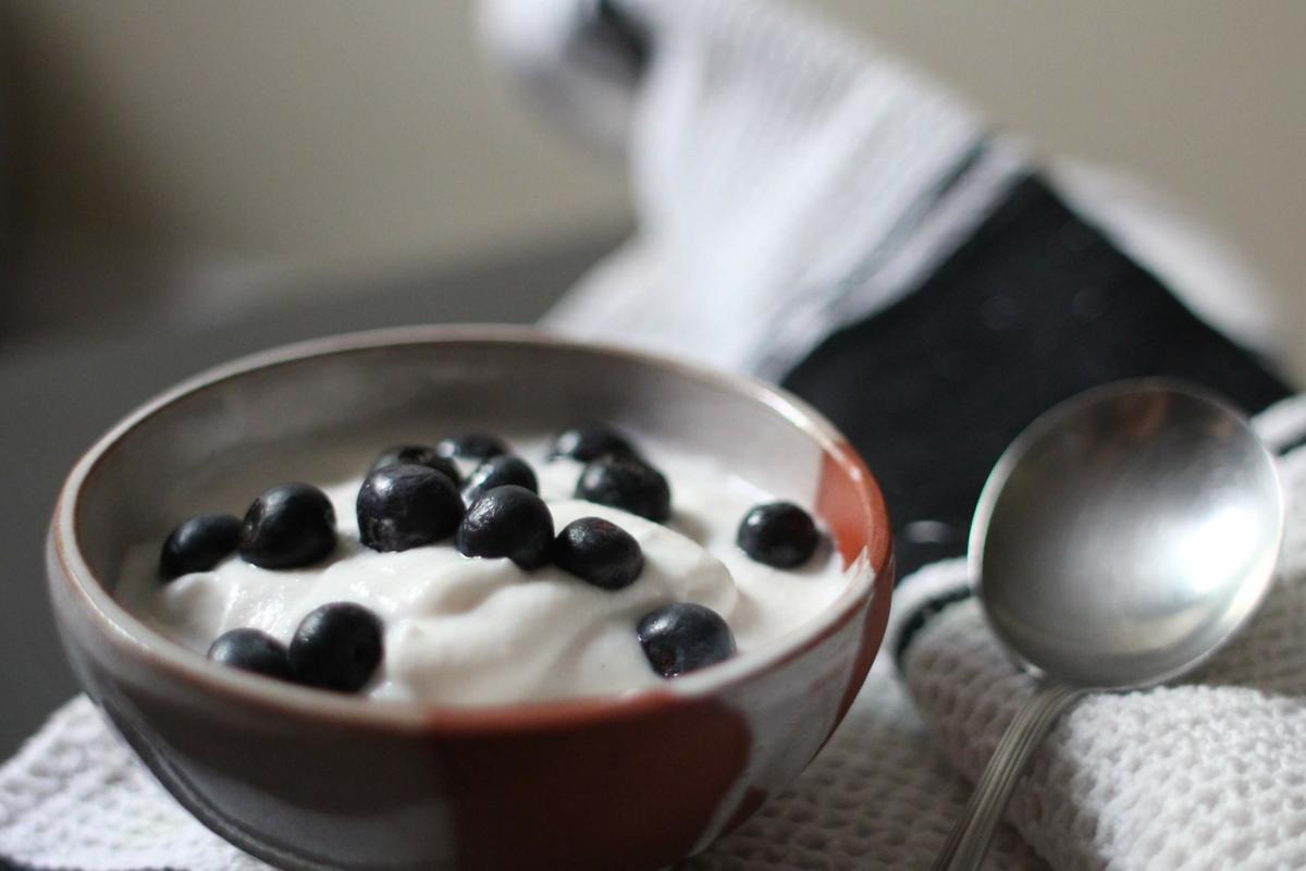 Helado para perros con yogur y frutas