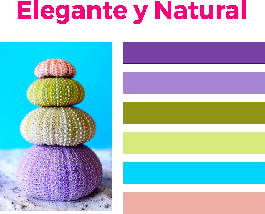 pagina_web_elegante_natural