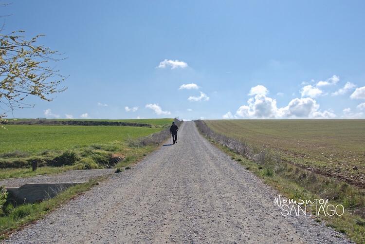 peregrino por los campos de castilla