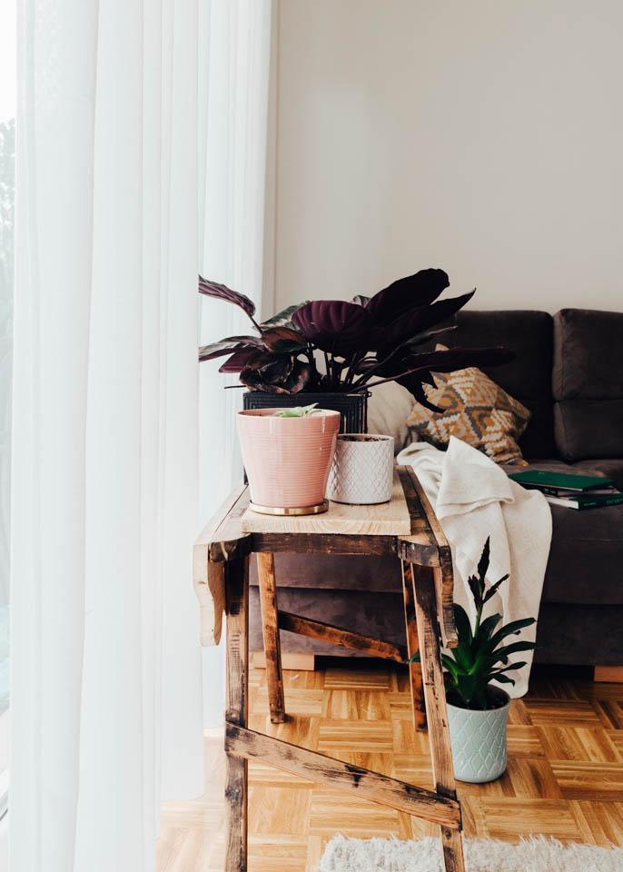 cortina-onda-perfecta