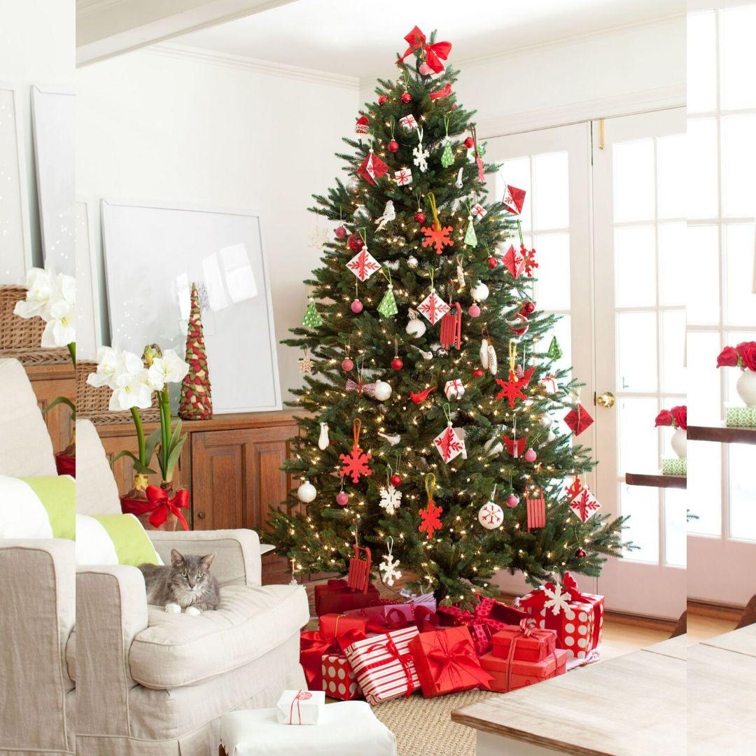 Arbol