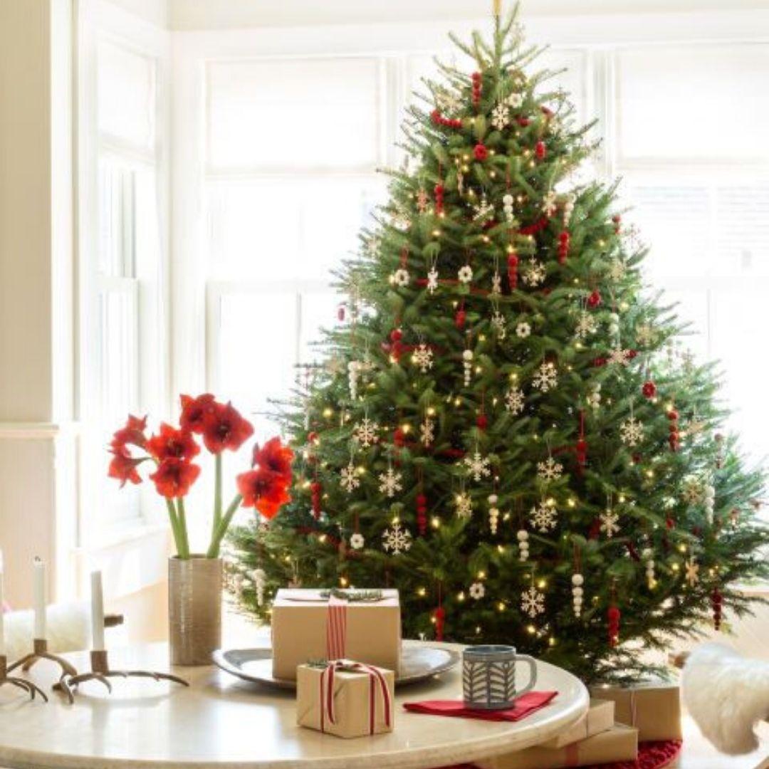 Arbol