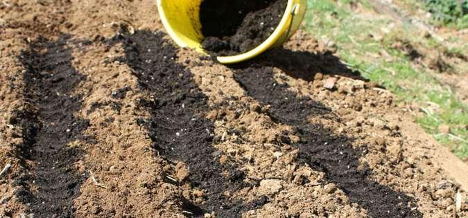 hacer compost