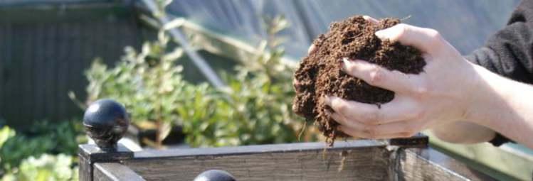 como hacer compost