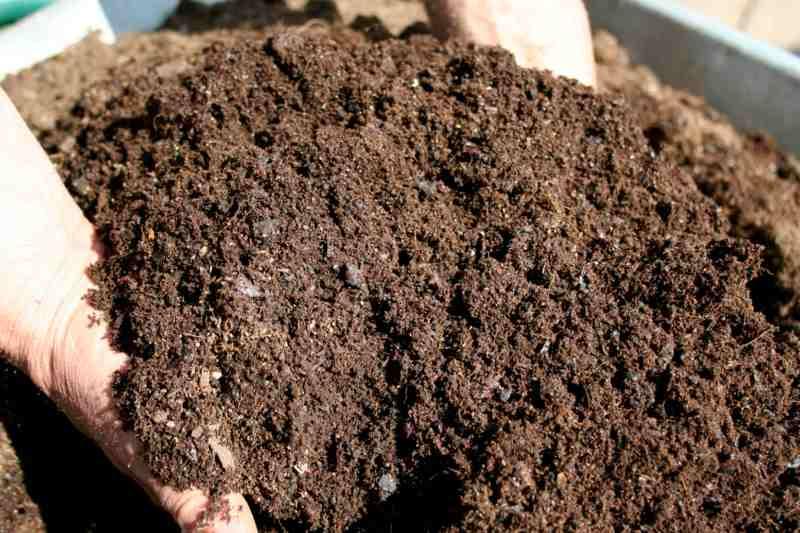 compost