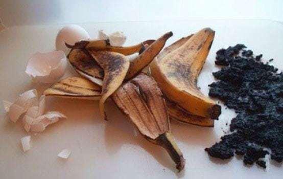 alternativas al compost