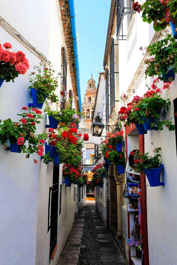 atracciones turísticas que ver en la ciudad andaluza